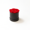 7 red preserved roses arranged in matte round box by ZESO Blooms – romantic lasting floral gift