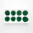 8 preserved green roses gift box featuring real forever roses, studio photography by ZESO Blooms™