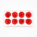 8 preserved red roses arranged in a gift box, real forever roses photographed in studio by ZESO Blooms™
