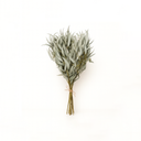 100g bundle of dried millet grass foliage, real natural filler for DIY bouquets and forever floral designs by ZESO Floral Supplies.