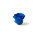 Close-up of Ocean Blue preserved roses showing natural texture and real flower softness by ZESO Blooms