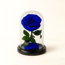 Single blue preserved rose displayed under acrylic dome on black wood base by ZESO Blooms – elegant gift symbolizing loyalty and serenity