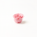A curated box of 8 vibrant pink preserved rose heads from ZESO, shown as a floral supply for DIY and creative projects.