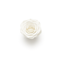 4 White Preserved Roses Square Box | ZESO Blooms