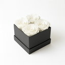 4 white preserved roses arranged in matte square box by ZESO Blooms – natural undyed floral gift
