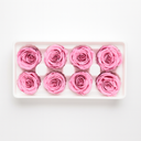 8 preserved pink roses displayed in a gift box, real forever roses photographed in studio by ZESO Blooms™