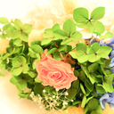 Detail of mixed dried floral fillers arranged in a candy box preserved flower bouquet by ZESO Blooms™