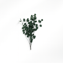 100g bundle of dried apple leaf foliage, real natural filler for DIY bouquets and forever floral arrangements by ZESO Floral Supplies.