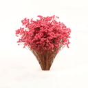 120g bundle of dried Sea Lavender Crystal Grass, light-textured natural filler for DIY bouquets and forever flower designs by ZESO Floral Supplies.