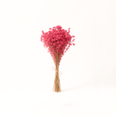 80g bundle of dried sorghum grass spray, natural filler for DIY bouquets and forever flower designs by ZESO Floral Supplies.