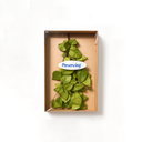 Box of 80–100g preserved gardenia leaves for DIY bouquet and forever flower arrangement by ZESO.
