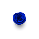 ZESO Blooms blue preserved rose blooms — 8 genuine roses with rich color, perfect for DIY preserved flower projects and elegant rose bouquet designs.