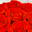 Close-up detail of red preserved rose showing natural petal texture and long-lasting color by ZESO Blooms