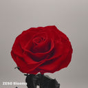 360-degree video showcasing red, blue, and black single preserved roses in glass domes by ZESO Blooms, highlighting color detail and craftsmanship