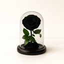 Single black preserved rose displayed under acrylic dome on black wood base by ZESO Blooms – elegant symbol of eternal love and mystery
