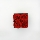 Top view of red square preserved rose box featuring four preserved roses from ZESO Blooms