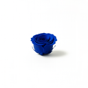 Elegant blue preserved roses arrangement for décor and gifts
